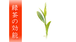 サムネイル|緑茶の効能効果